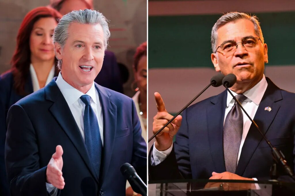 California Democrats need more spine to stop the socialists