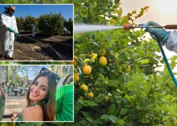 California restricts toxic weedkiller as SoCal community battles rare cancer cluster fears