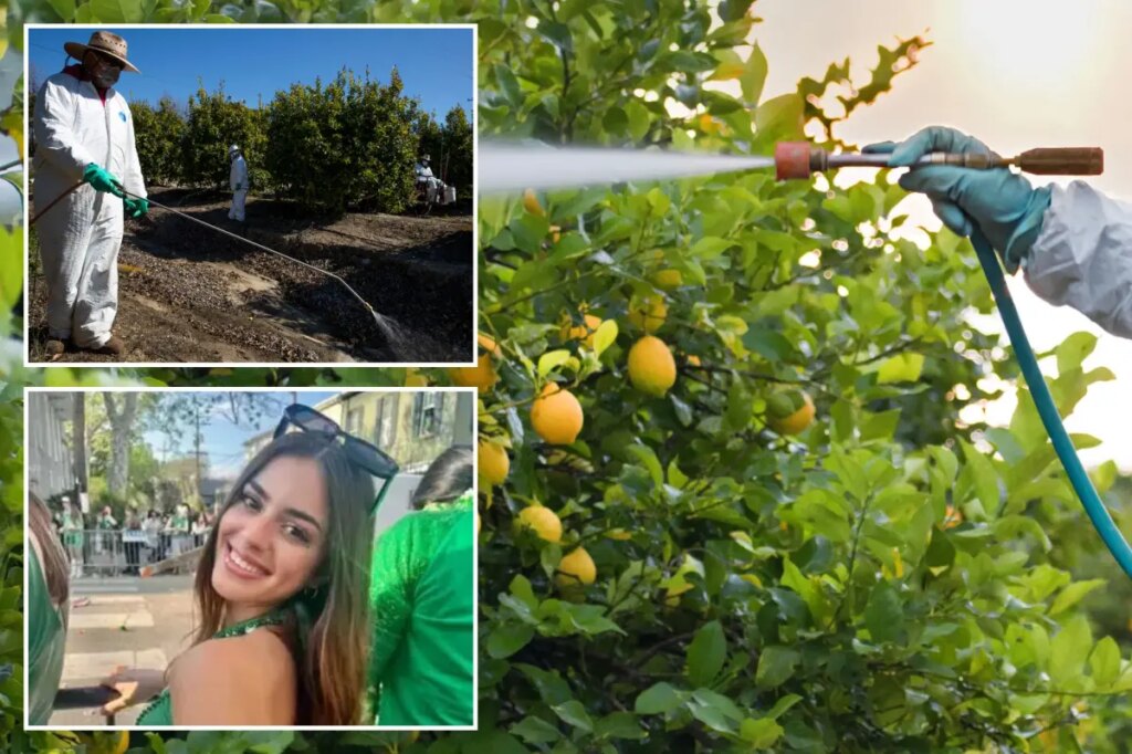 California restricts toxic weedkiller as SoCal community battles rare cancer cluster fears