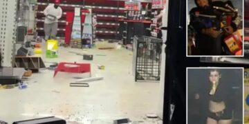 Mob of looters who struck LA AutoZone twice in 24 hours pictured by police