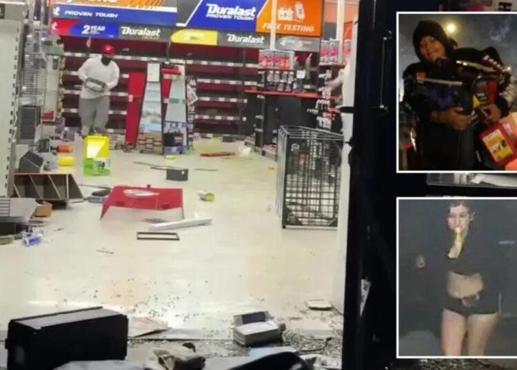 Mob of looters who struck LA AutoZone twice in 24 hours pictured by police