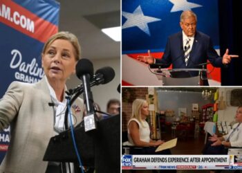 Darline Graham insists voters aren’t concerned about Taiwan: ‘Worried about the price of groceries’