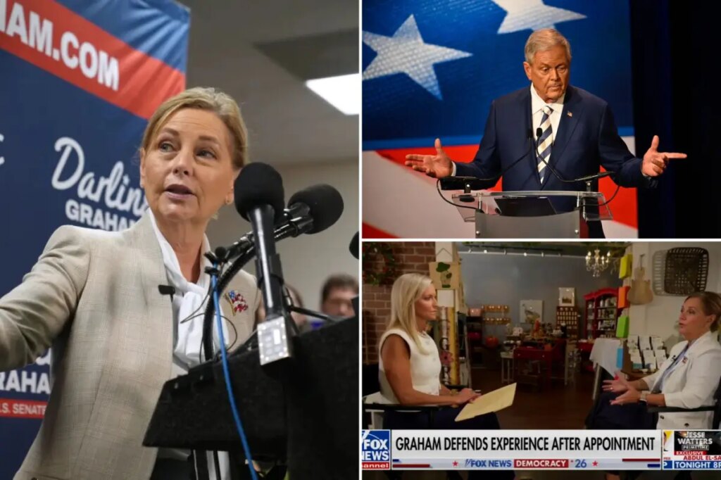 Darline Graham insists voters aren’t concerned about Taiwan: ‘Worried about the price of groceries’