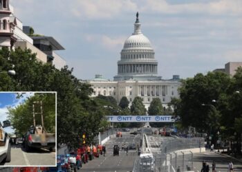 SoCal man arrested for parking near US Capitol with guillotine in his truck