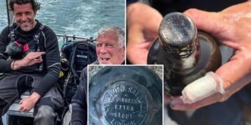 Divers find 162-year-old Guinness in shipwreck — and there’s a ‘possibility it’s still drinkable’