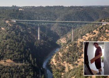 Desperate search for hiker, 24, who vanished in California canyon prowled by bears, lions and snakes