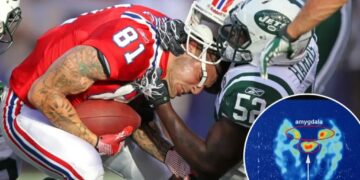 ‘Alarmingly high’ number of former NFL stars develop CTE, according to massive new study