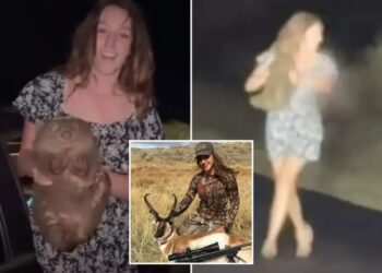 Influencer who sparked outrage for snatching baby wombat from its mother in Australia sentenced in separate Wyoming case