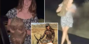 Influencer who sparked outrage for snatching baby wombat from its mother in Australia sentenced in separate Wyoming case