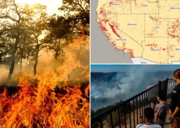 California cities most exposed to wildfire risks in new analysis — LA takes the top spot