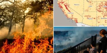California cities most exposed to wildfire risks in new analysis — LA takes the top spot