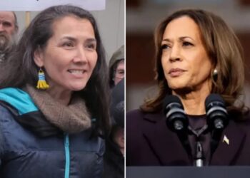 Alaska Democrat turns down support from Kamala Harris ahead of Senate primary 