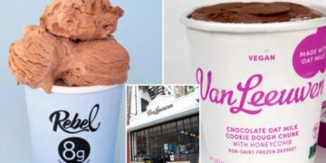 Ice cream maker Rebel Creamery files for bankruptcy after being ordered to pay $23.8M in packaging battle