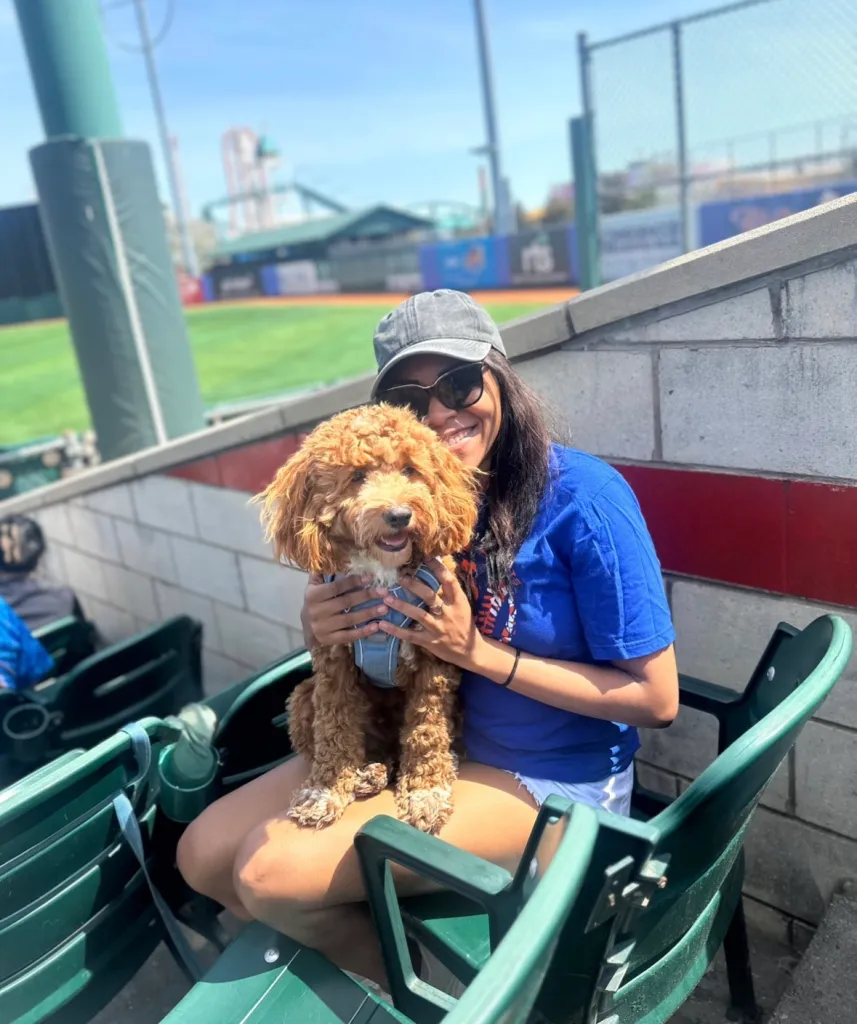Woman holding a small dog in stadium seats.