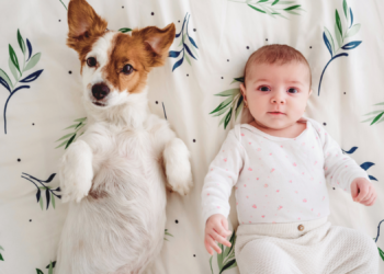 Why Americans Keep Giving Their Pets the Same Names as Their Babies