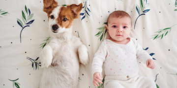 Why Americans Keep Giving Their Pets the Same Names as Their Babies