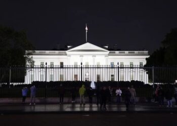 Washington put animals over people — and made affordable housing an endangered species