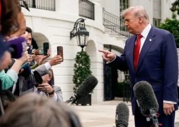 Trump fondles tree photos in front of baffled reporter: ‘There is no precedent’