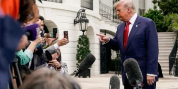Trump fondles tree photos in front of baffled reporter: ‘There is no precedent’