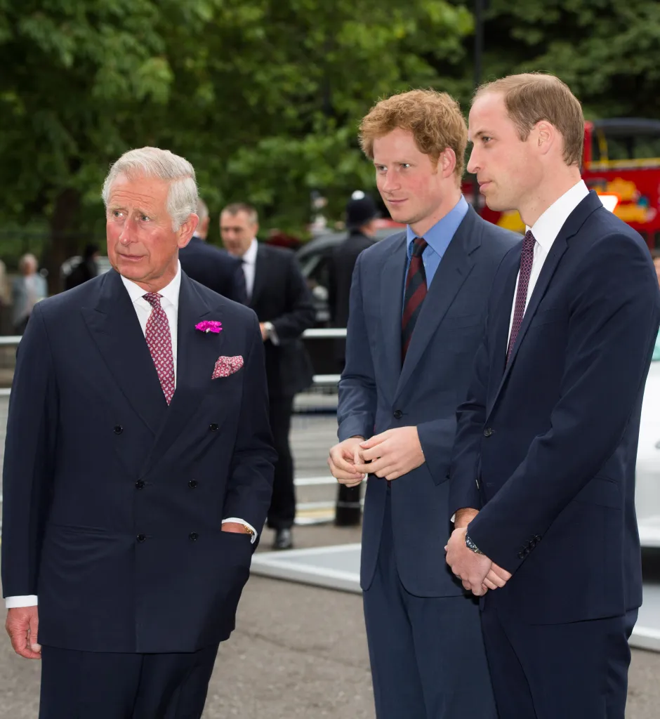 Prince Charles, Prince Harry, and Prince William attend the BITC Annual Responsible Business Awards Gala.
