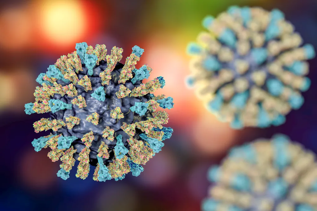 Illustration of a measles virus particle with surface proteins.