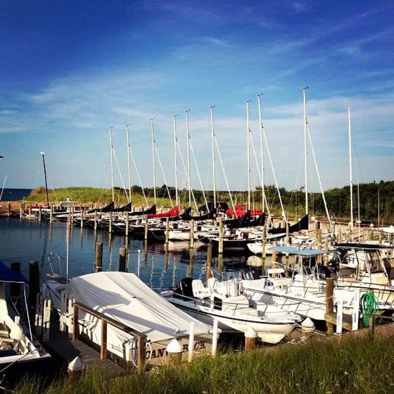 Sailboats and powerboats docked at a marina with green hills in the background.