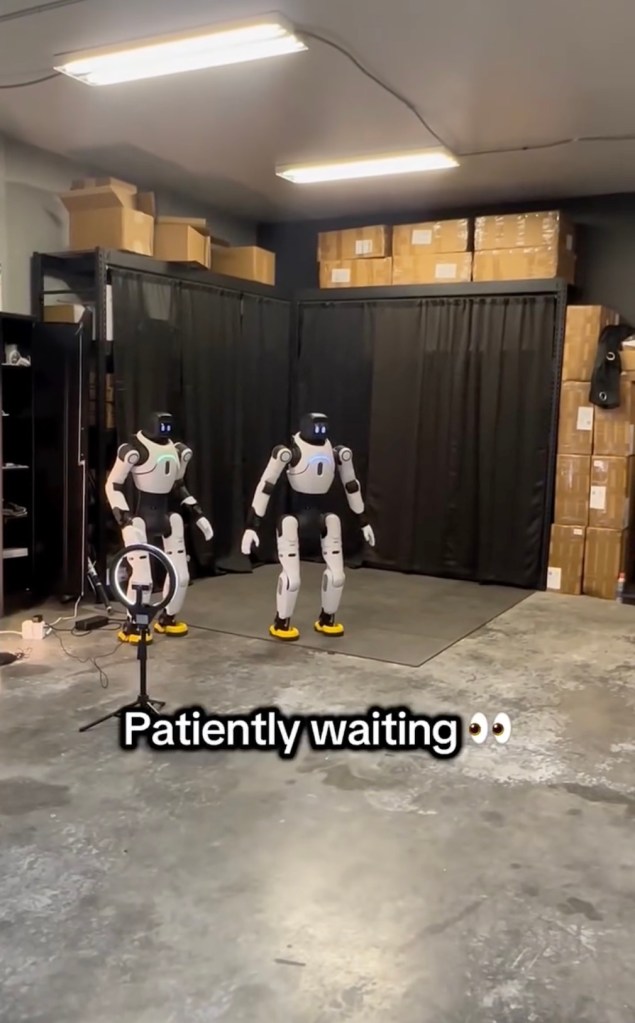 Two black and white robots at The Robot Studio in Dallas