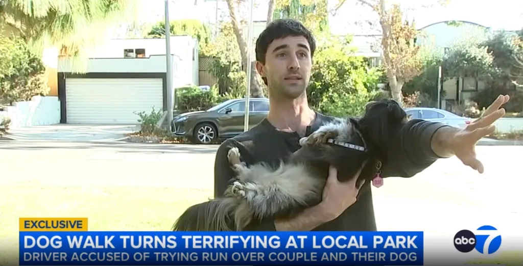 A man holding a dog describes a terrifying dog walk.