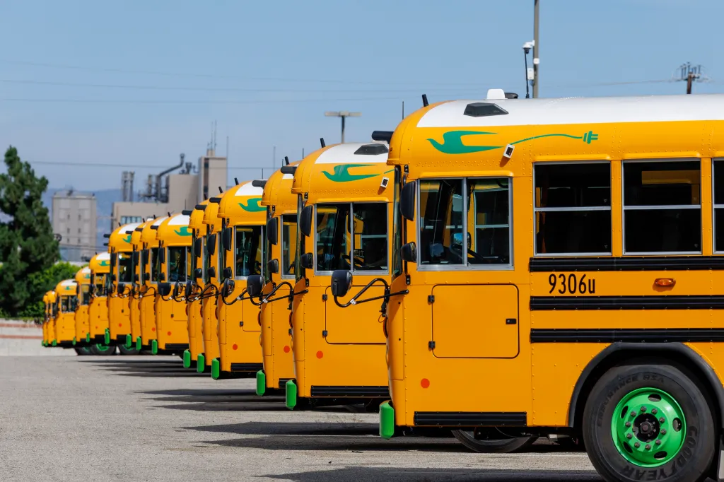 A line of yellow school buses with green wheel hubs in a bus yard.