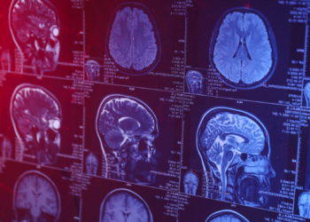 Your Skull Is Hiding a Secret Organ, and Scientists Just Found It