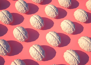 Scientists Grew Mini Brains That Kept Aging for Years, and Somehow Remembered It