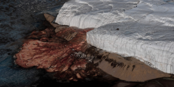 Scientists May Have Finally Found Where Antarctica’s Blood Falls Comes From