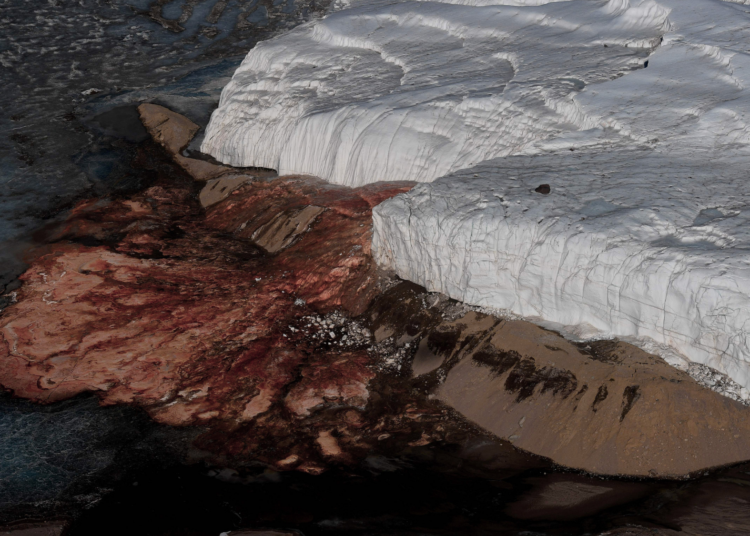 Scientists May Have Finally Found Where Antarctica’s Blood Falls Comes From