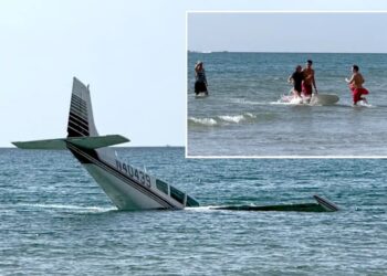 Young pilot makes dramatic emergency sea landing in front of Florida beachgoers — and is quickly rescued uninjured
