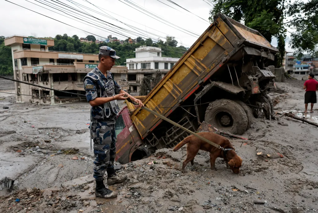 A security force member and his sniffer dog search for survivors following devastating floods in Trishuli, Nepal.