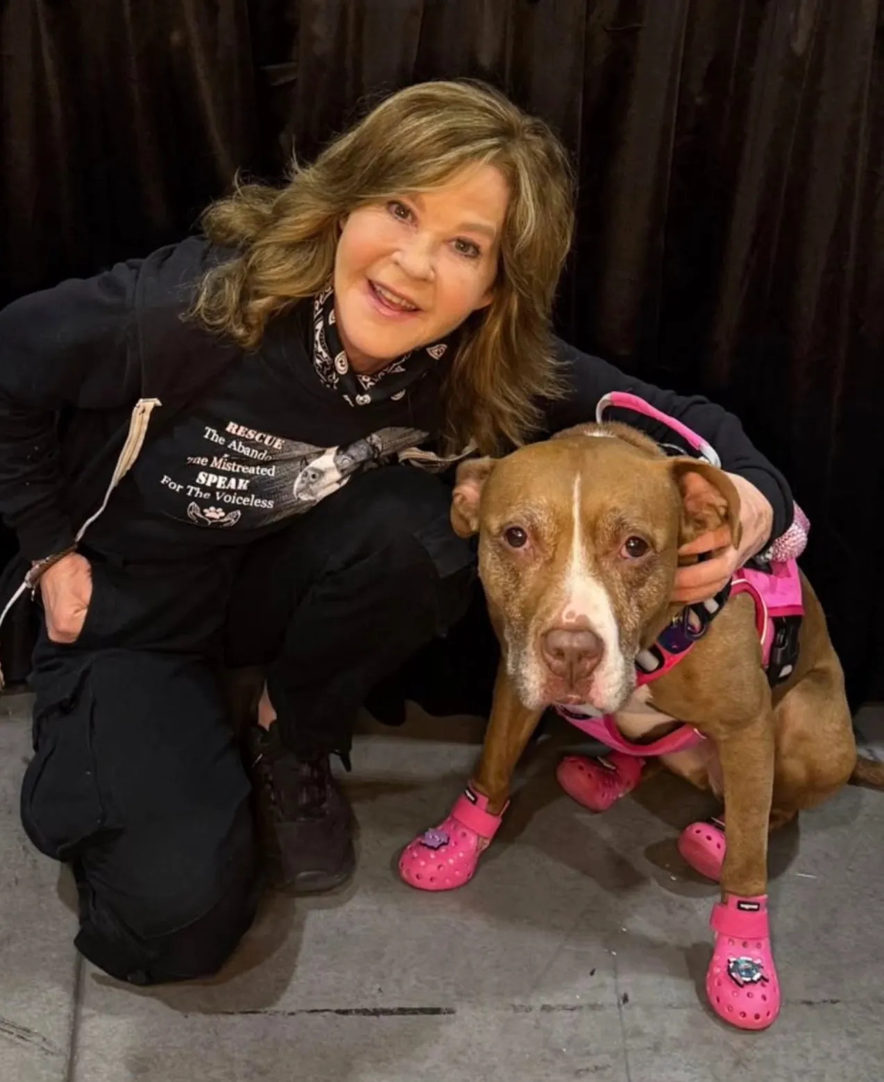 Linda Blair smiling while crouching next to a pit bull wearing a pink harness and pink shoes.
