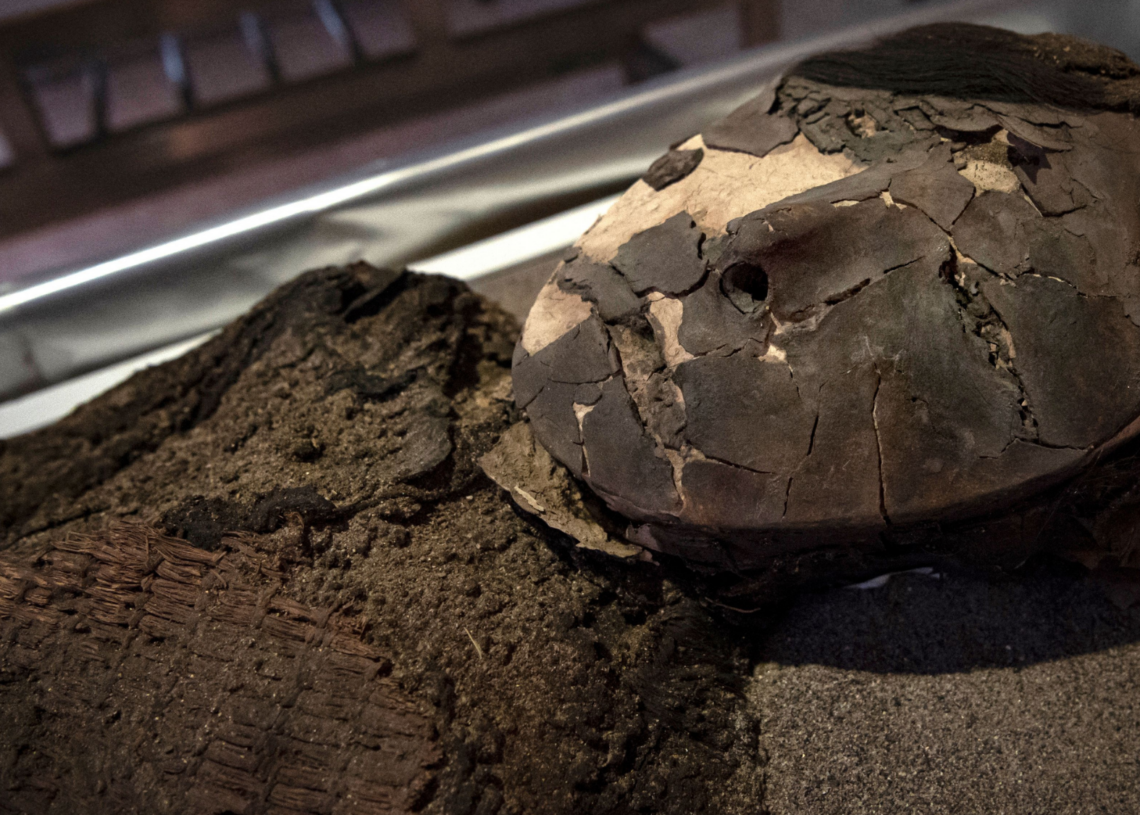 Scientists Found Smallpox DNA Hidden in 500-Year-Old Chilean Mummies