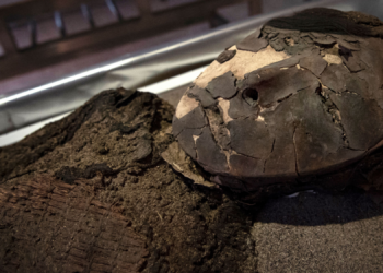 Scientists Found Smallpox DNA Hidden in 500-Year-Old Chilean Mummies