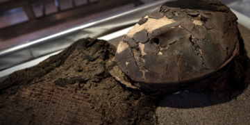 Scientists Found Smallpox DNA Hidden in 500-Year-Old Chilean Mummies