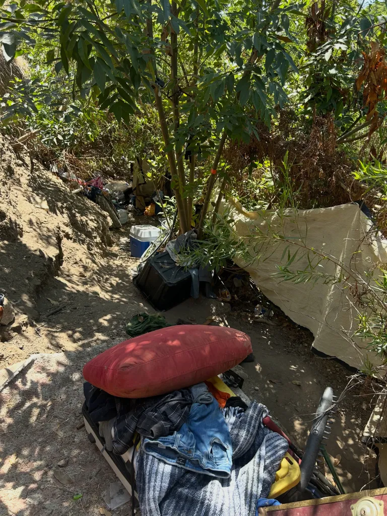 A makeshift camp in a wooded area, with a red pillow on top of clothes, a blue cooler, and a tarp.