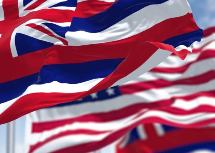 Hawaii candidate knocked out cold after allegedly threatening couple on beach: report