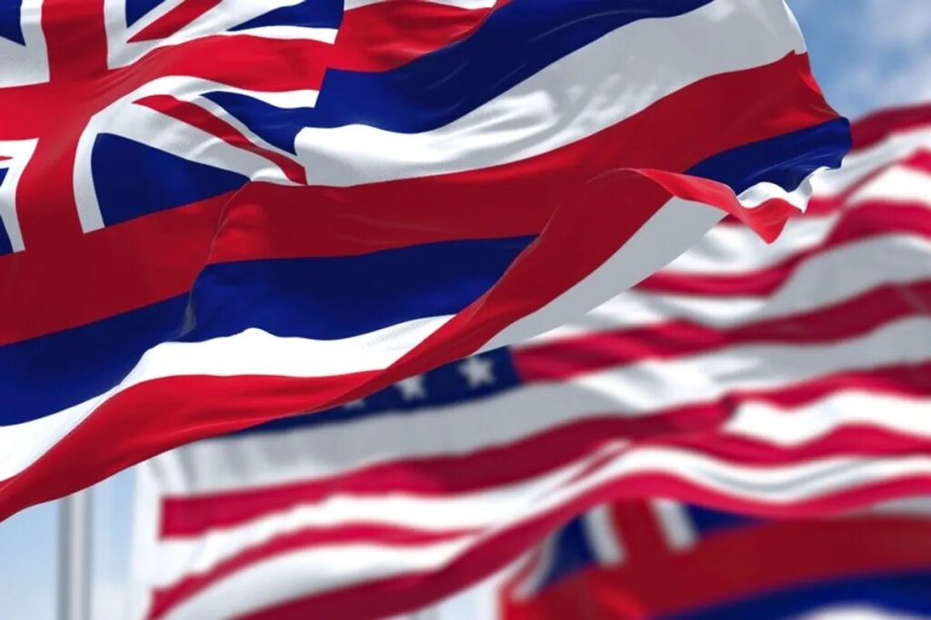 Hawaii candidate knocked out cold after allegedly threatening couple on beach: report