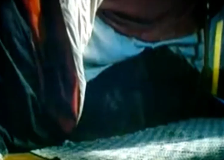 There’s a ‘Demon’ Under the Bed in This Early 2000s Comedy, and Even the Directors Can’t Explain It