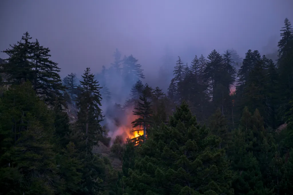 The Timber Fire burns above Grimes Canyon in Big Sur, California.