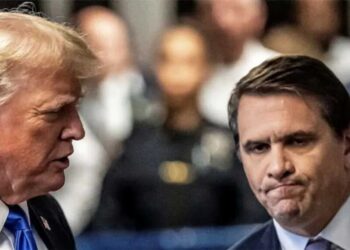 DOJ lobs new seashell attack with jaw-dropping Trump boast: ‘Feature, not a bug’
