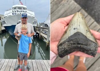 Massive tooth of 3.6M-year-old megalodon — largest shark to ever live — discovered on Jersey Shore