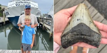 Massive tooth of 3.6M-year-old megalodon — largest shark to ever live — discovered on Jersey Shore