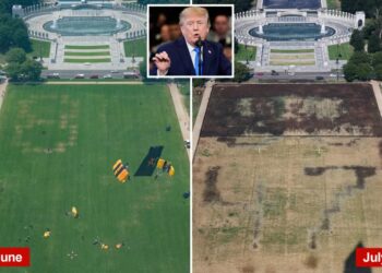 Trump blames vandals for dead grass on National Mall where he hosted 4th of July celebration