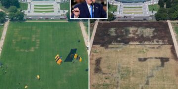 Trump blames vandals for dead grass on National Mall where he hosted 4th of July celebration