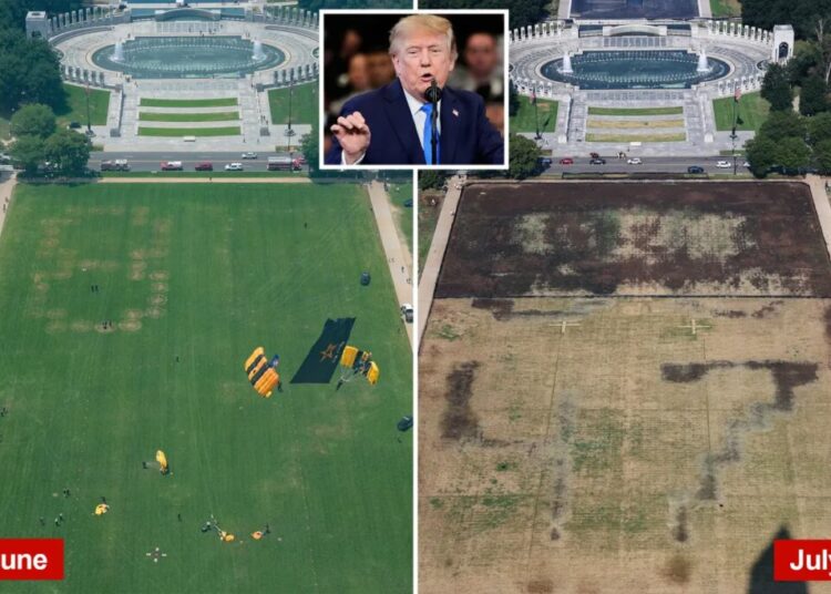 Trump blames vandals for dead grass on National Mall where he hosted 4th of July celebration